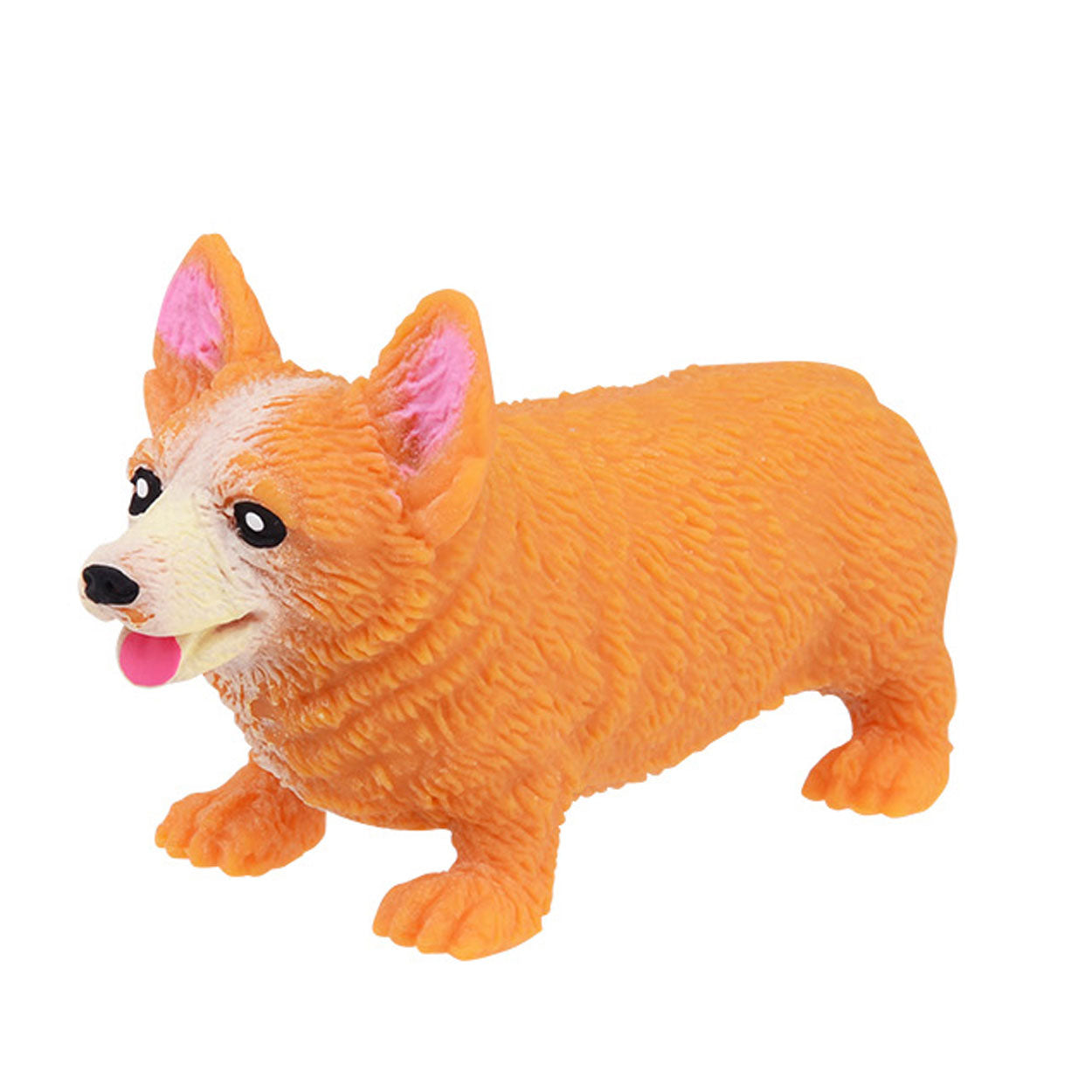 Corgi de chien extensible