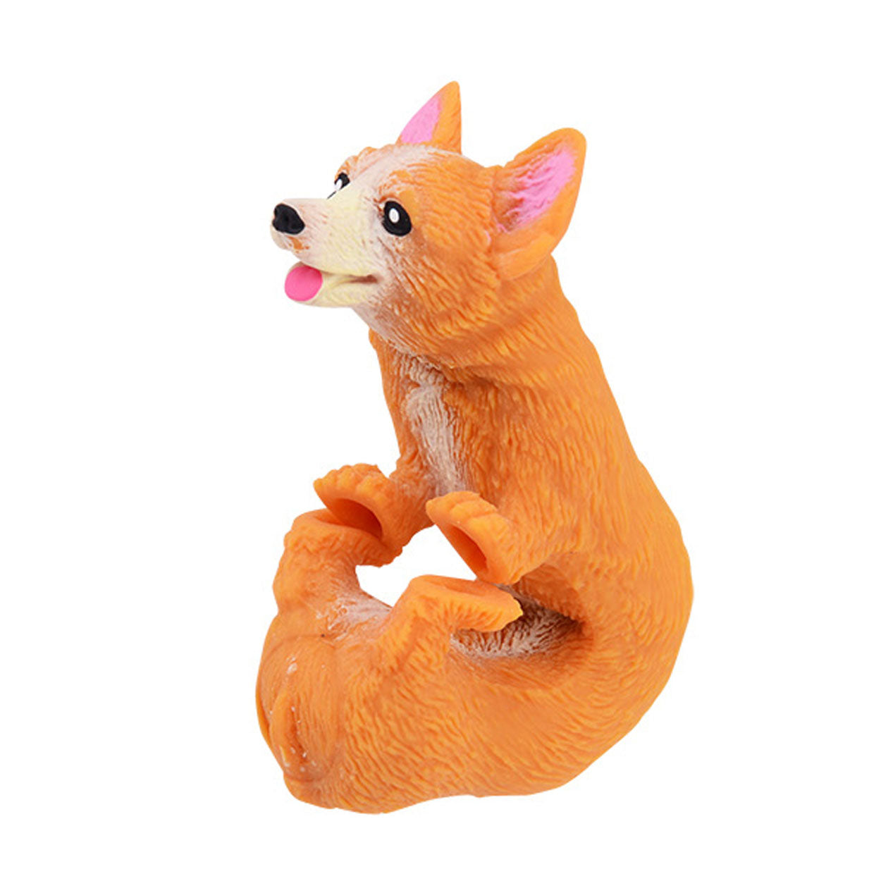 Corgi de chien extensible