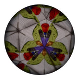 JOHNTOY KALEIDOSCOPE ANIMALS MARINE - afbeelding 2