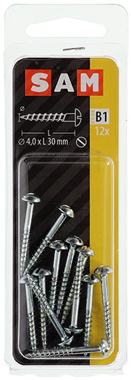 Mack 1017374 - vis à bois à tête cylindrique en acier galvanisé 12 pcs 4,0 x 30 mm | 10 pièces