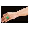 Playmobil miraculous miraculeux : carapace 71338
