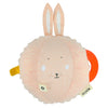Trixie Activity Ball Mme Lapin