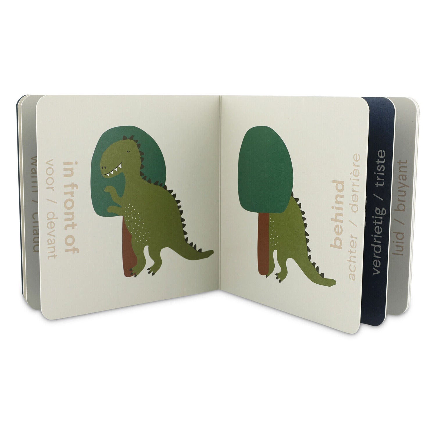 Livre de trixie avec contradictions