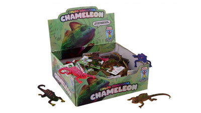 Couleur - Chameléon changé