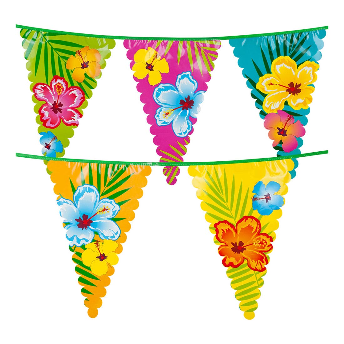 Ligne de drapeau de Boland Hawaii, 6mtr.