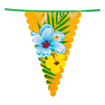 Ligne de drapeau de Boland Hawaii, 6mtr.