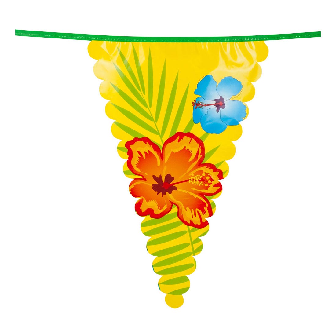 Ligne de drapeau de Boland Hawaii, 6mtr.