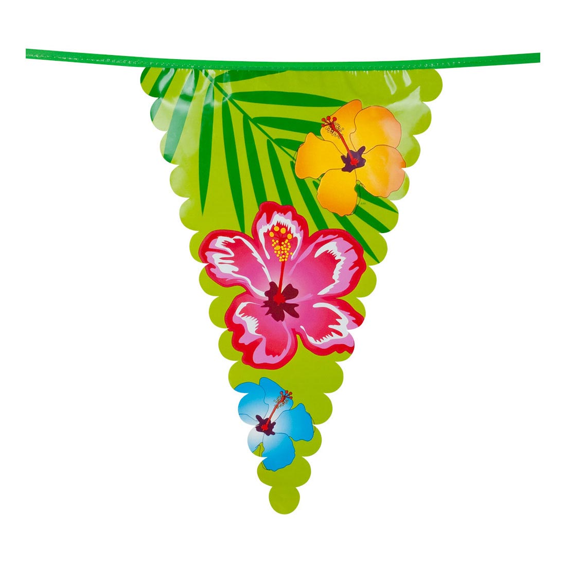 Ligne de drapeau de Boland Hawaii, 6mtr.