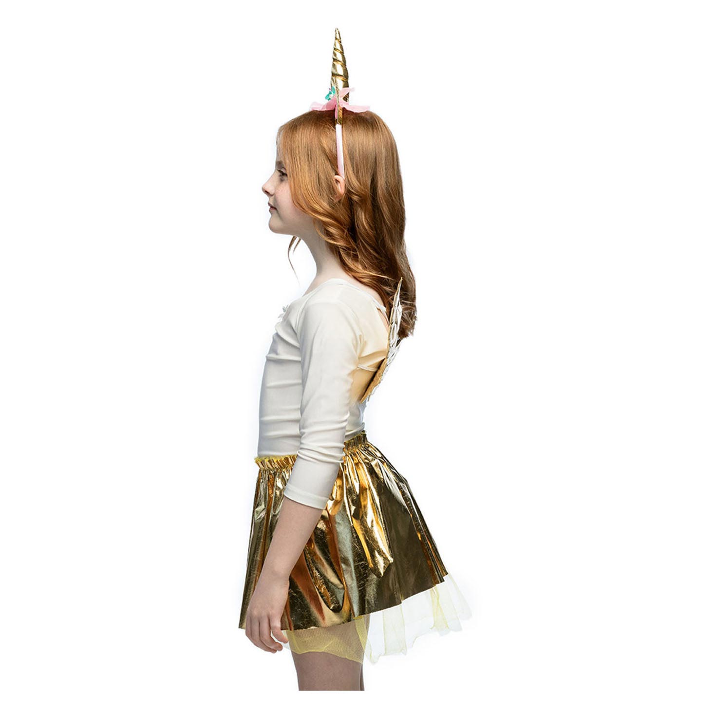 Boland décorer les frais de licorne
