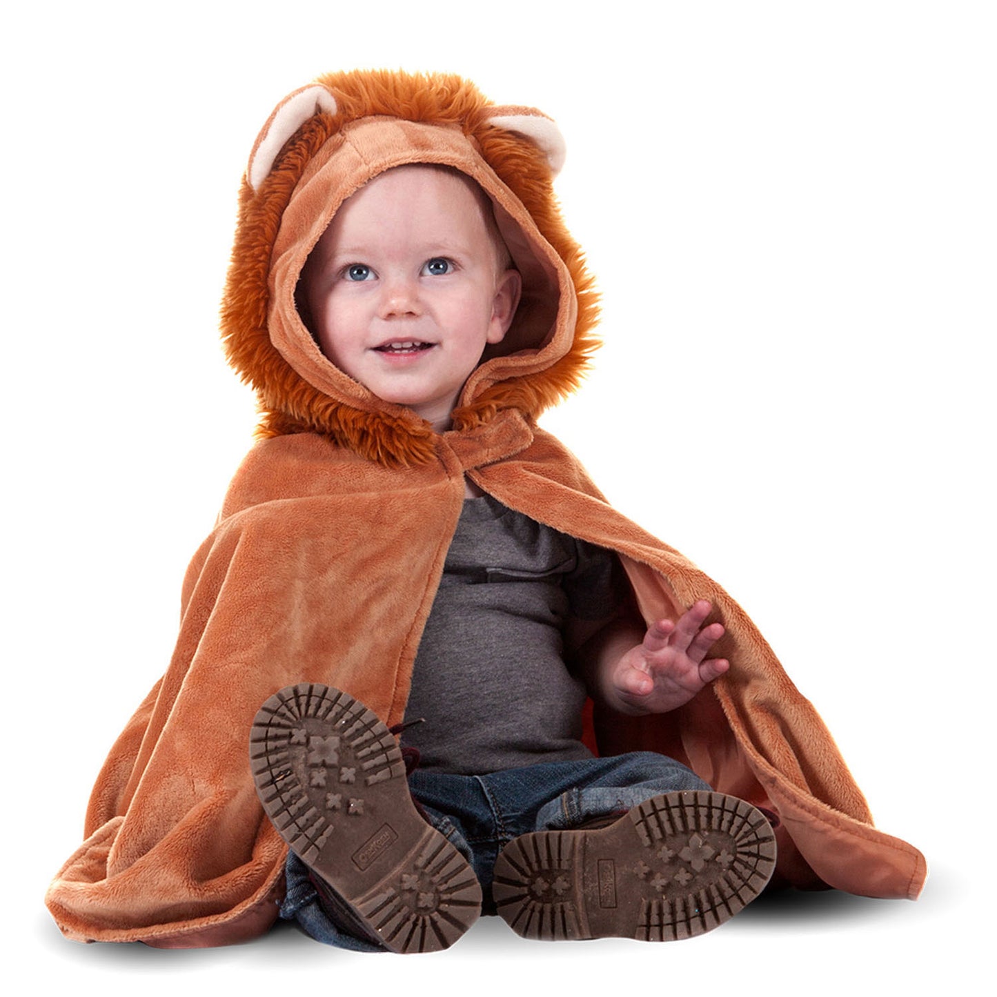 Grands prétendants cape lion, 2-3 ans