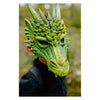 Masque de dragon de grands prétendants vert