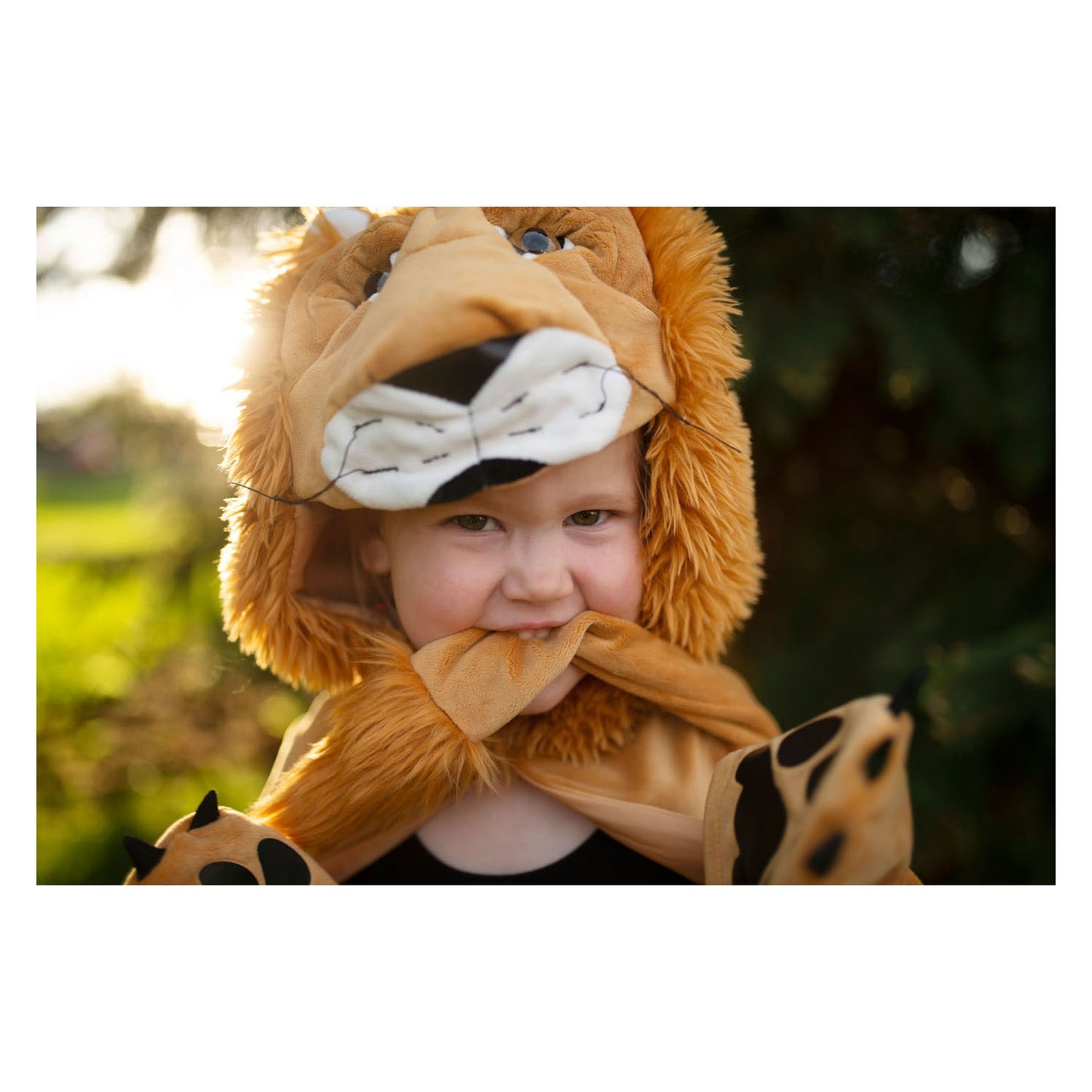 Cape de grands prétendants lion du livre de contes, 4-6 ans
