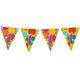 Ligne de drapeau 1 an, 10mtr.