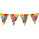 Haza Witbaard Flag Line 8 ans, 10mtr.