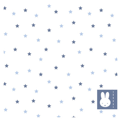 Nijntje Blauw Napkins, 20e.