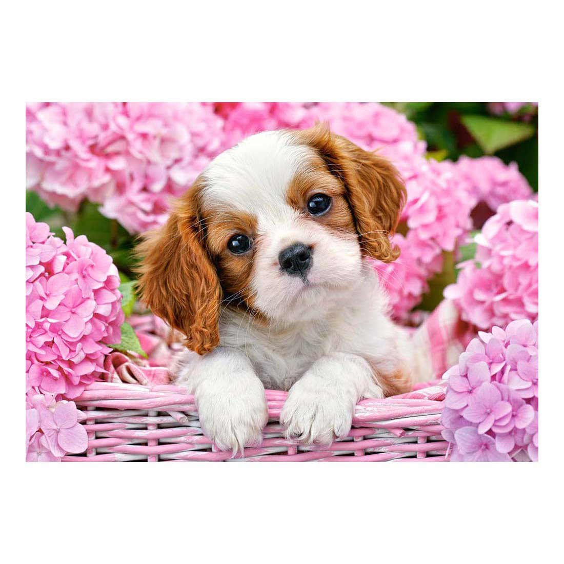 Puppy de puzzle Selecta Castorland en fleurs roses, 500e.
