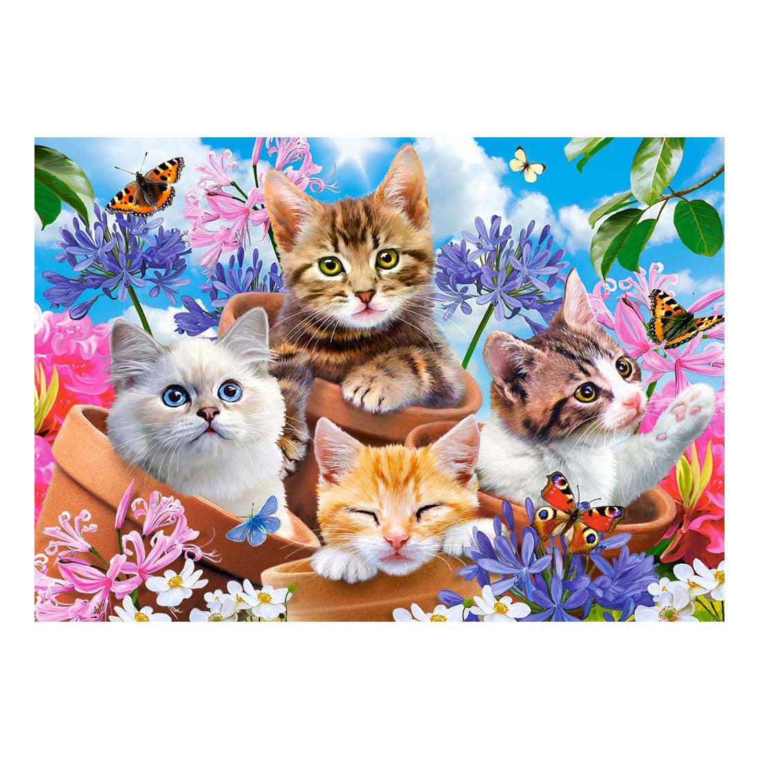 Selecta castorland puzzle chatons avec fleurs, 500 pcs.