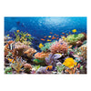 Selecta Castorland Puzzle Poissons des récifs coralliens, 1000 pcs.