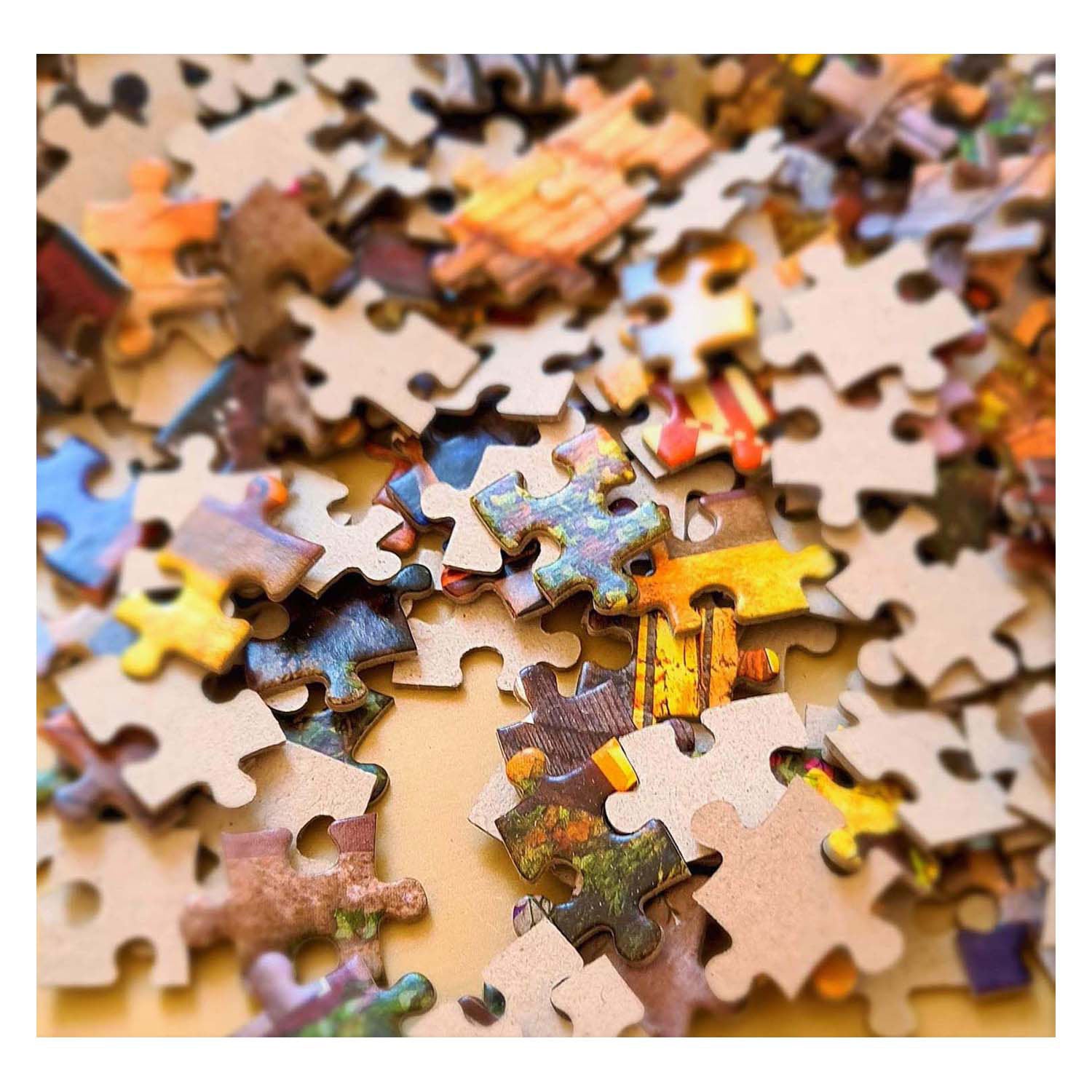 Selecta Castorland Puzzle Tournesols dans un vase paon, 1000 pcs.