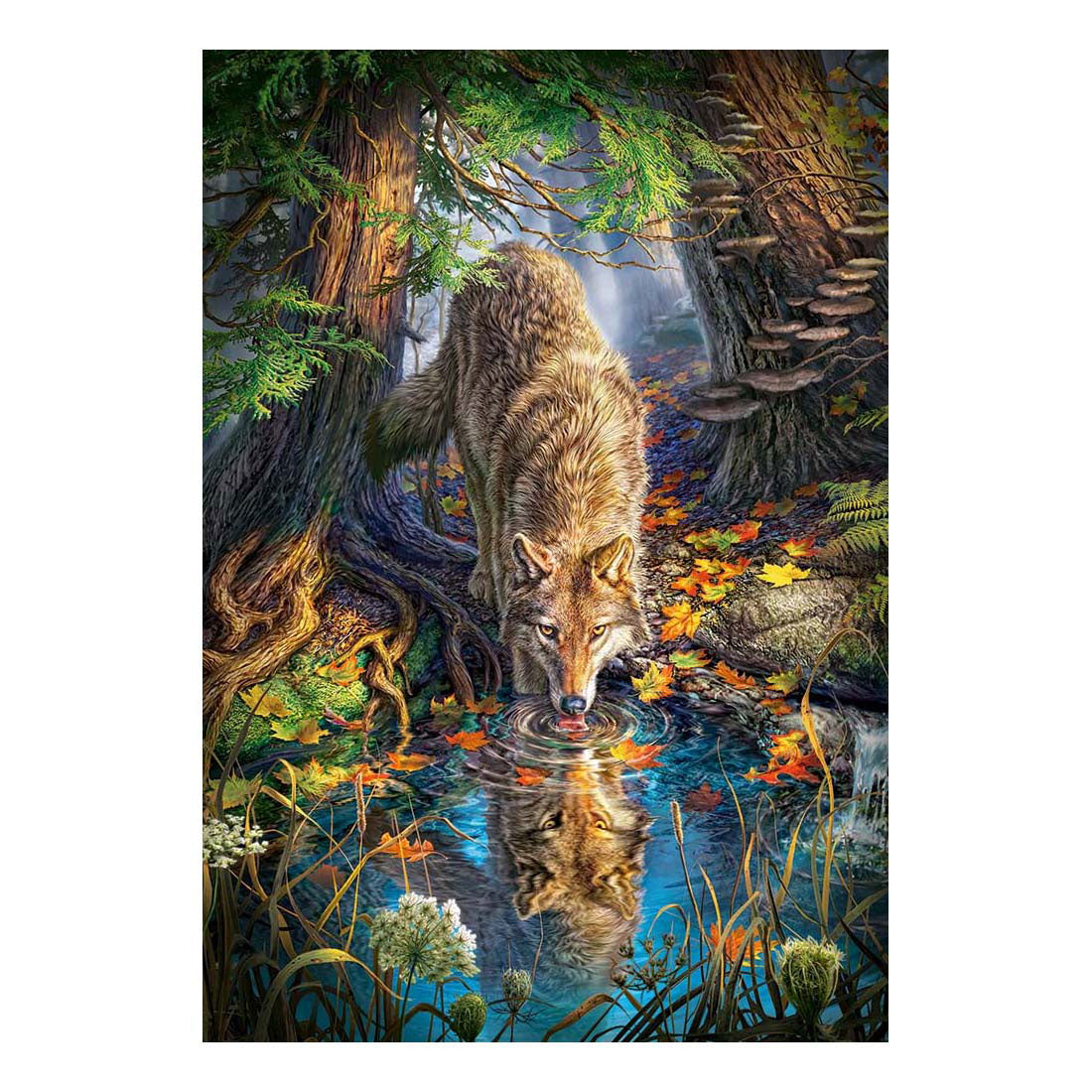 Selecta Castorland Play Puzzle Wolf in the Wild, 1500st.