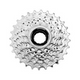 Pawn 7S 14-28T Silver