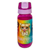 Bouteille de boisson arc-en-ciel en couverture, 450 ml