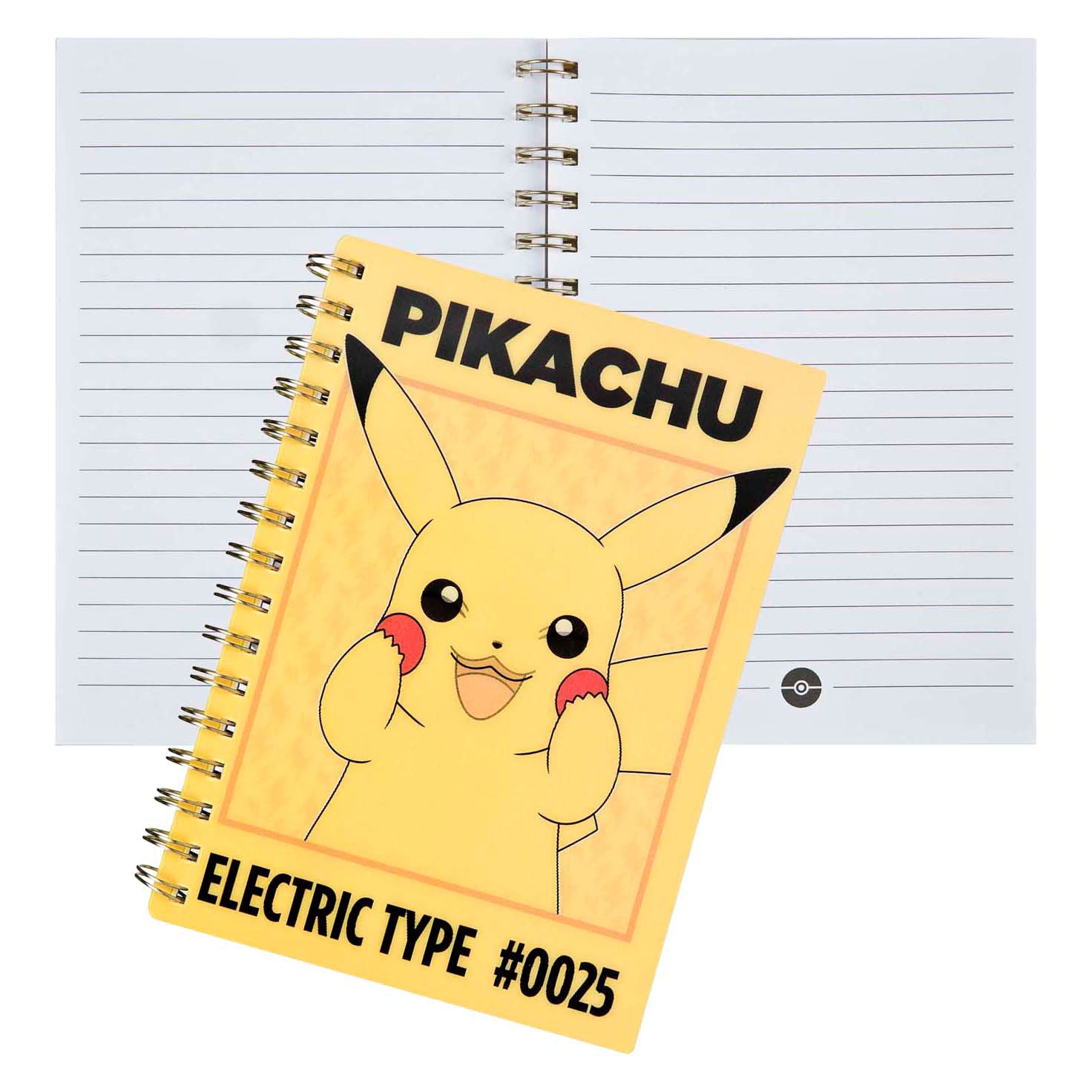 Carnet d'infiltration pikachu