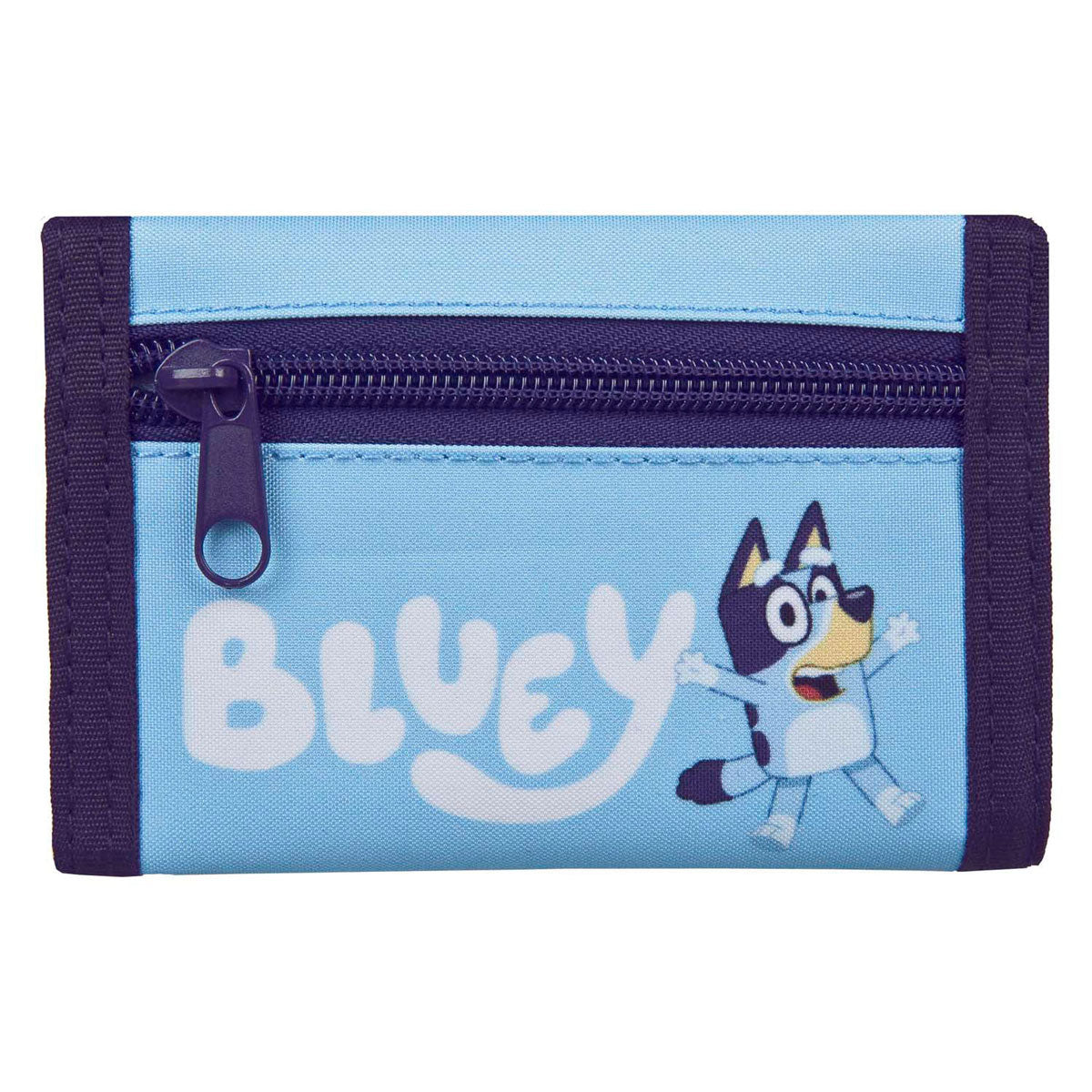 Portefeuille bleu