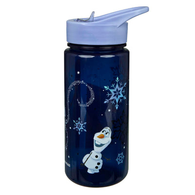 Gourde Disney Aero congelée - 500ml