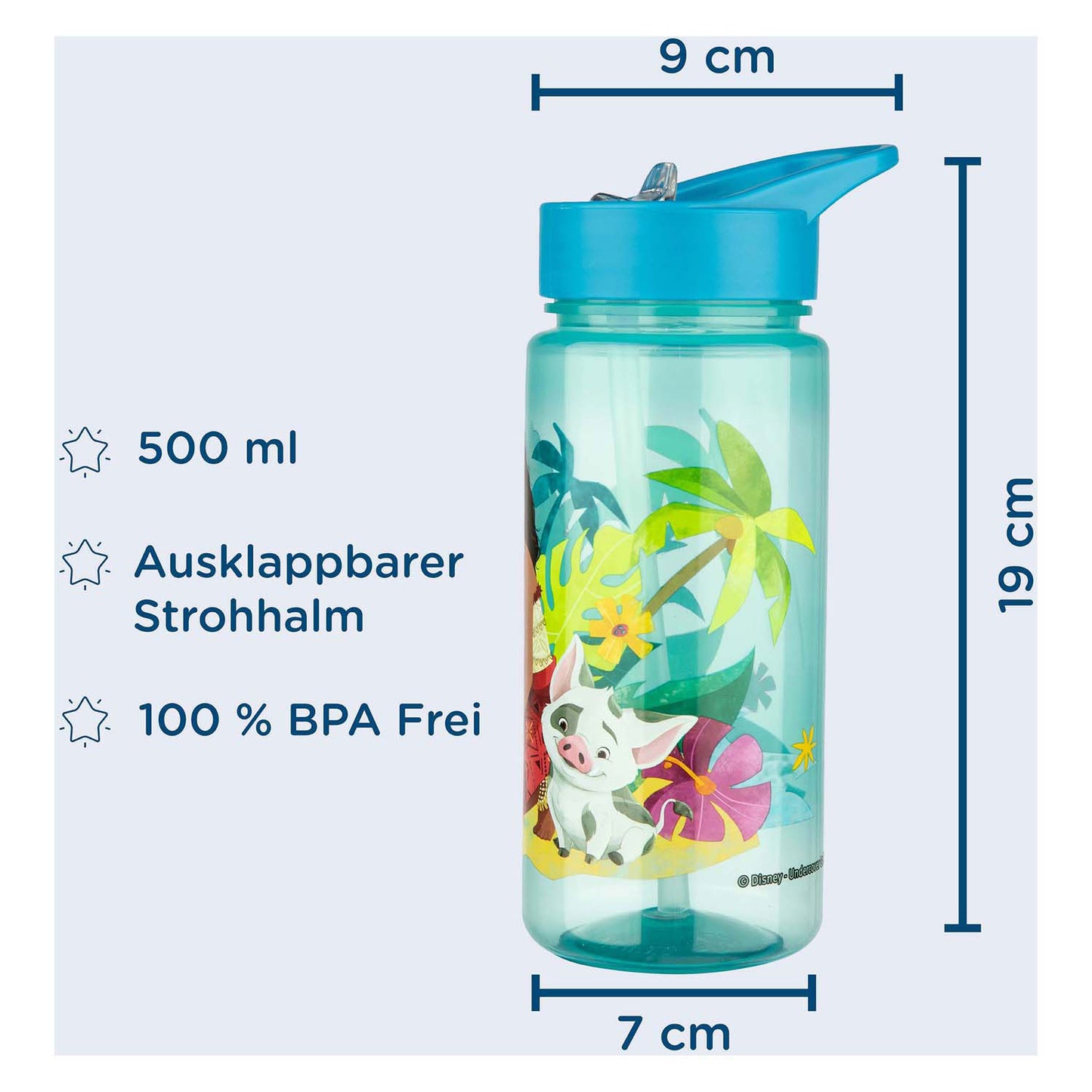 Bouteille de boisson Vaiana 2