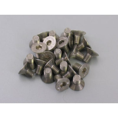 Bofix Allenbout M6X10 en acier inoxydable avec tête coulée (25 pièces)
