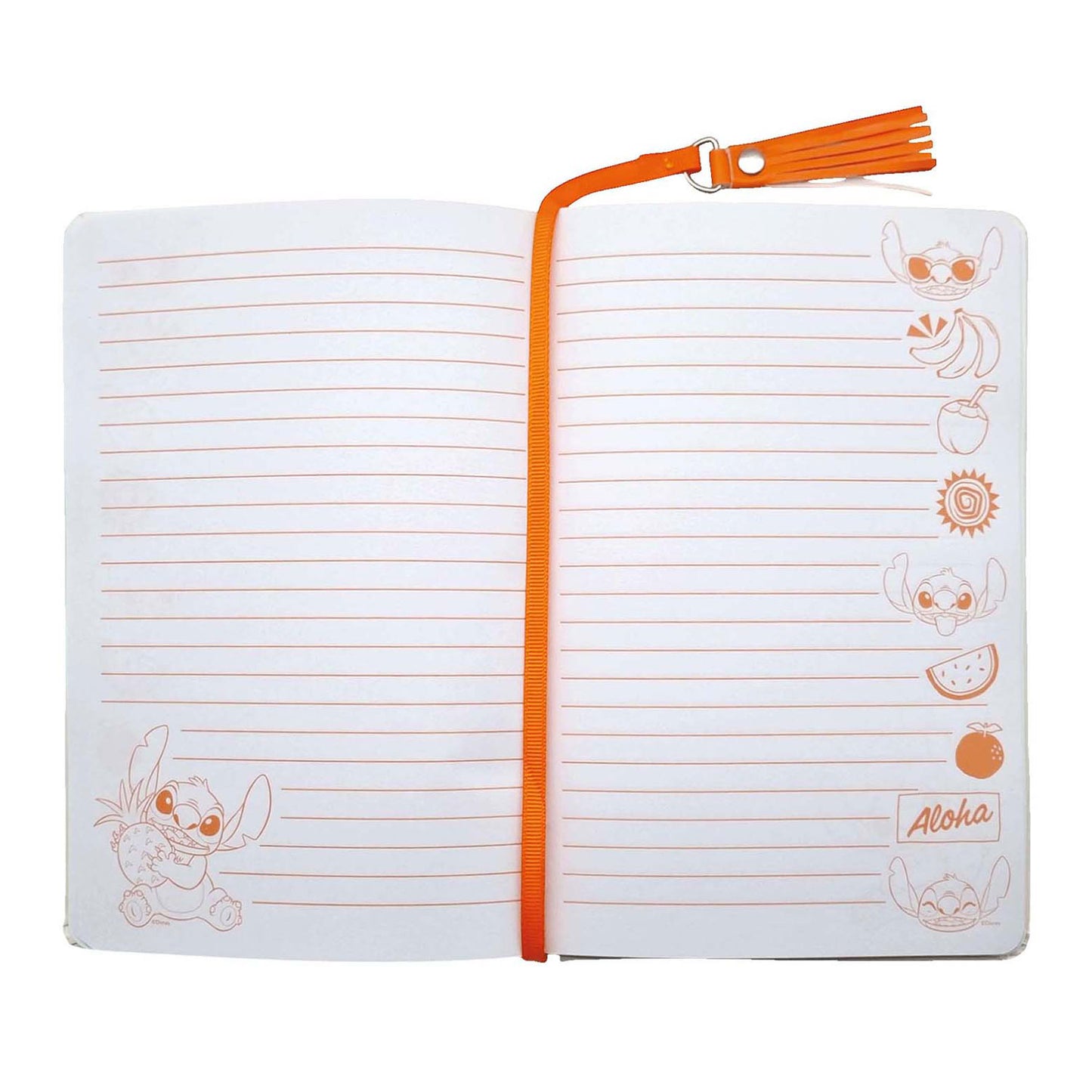 Paillettes de carnet de point