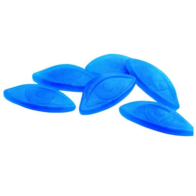 Frisia yeux bleus 1,5 kg
