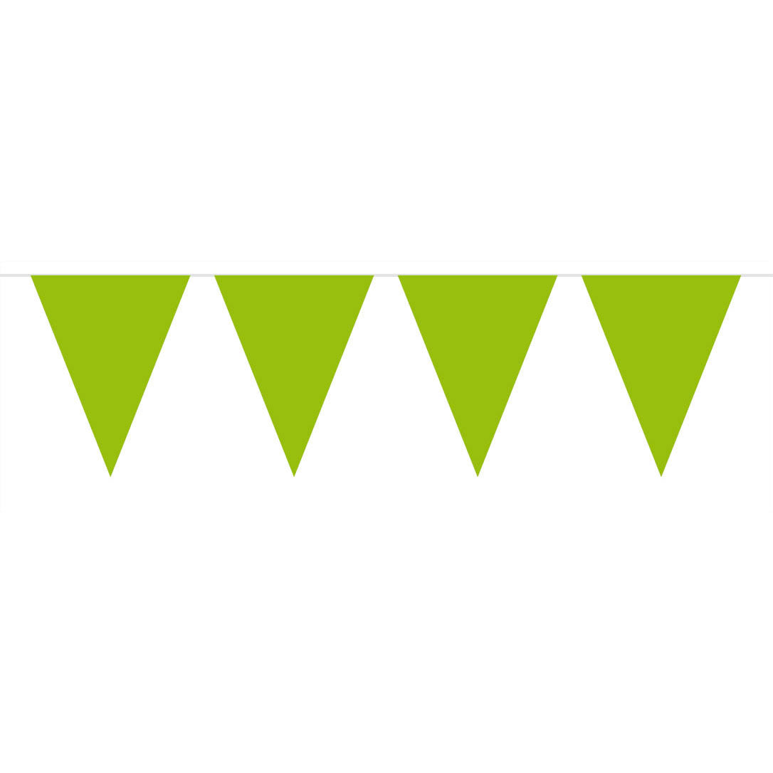 Ligne de drapeau xl vert, 10mtr.