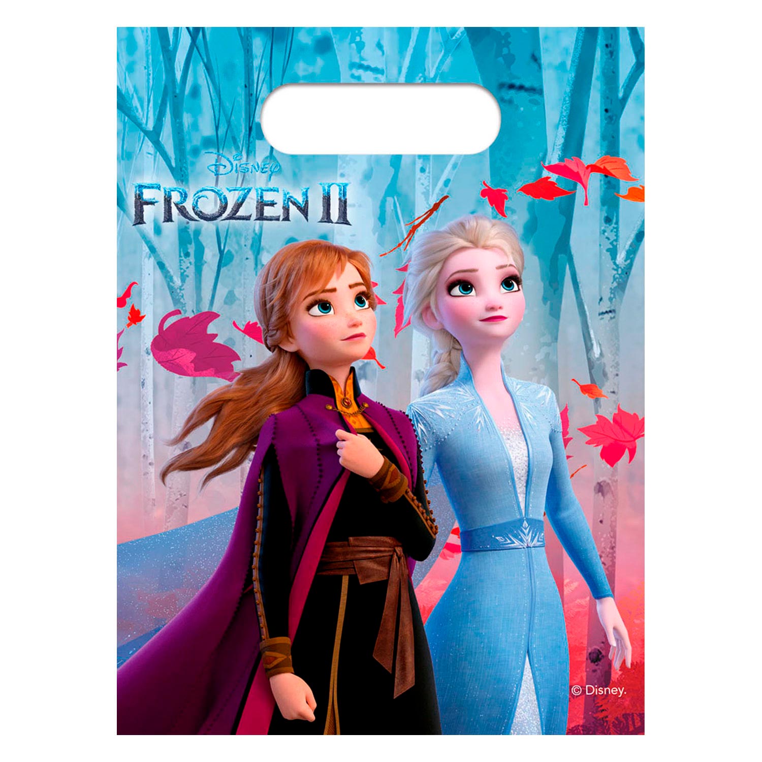 Disney Frozen 2 Sacs de division, 6e.