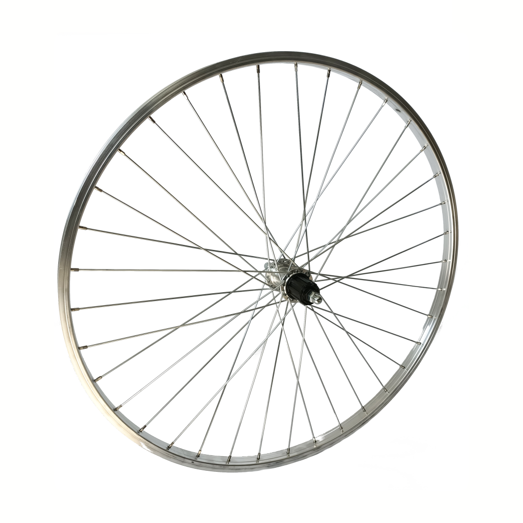 Roue arrière Roland 28 Cass fixe 7V ALU SERVIR Silver Zink Spk