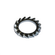 Bofix Rondelle élastique dentée M5 zinguée. par 250