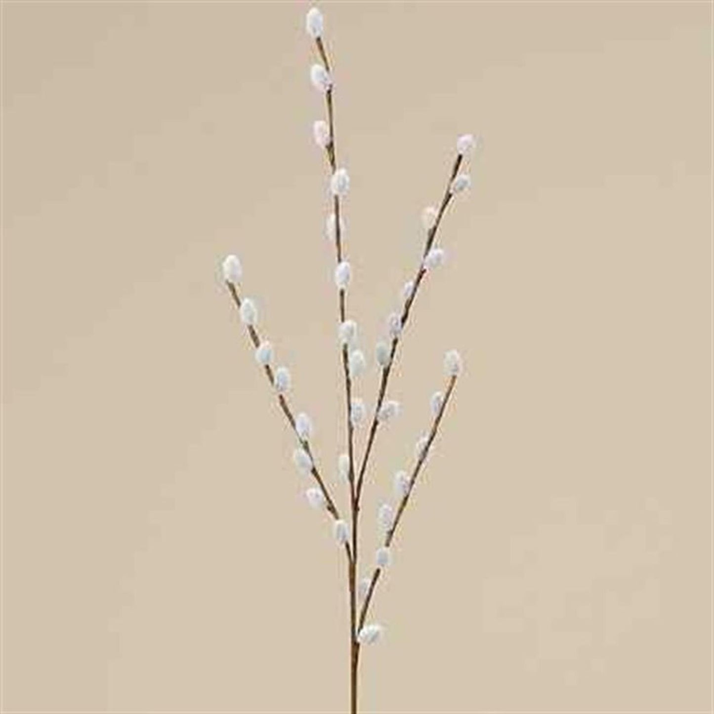 Boltze branche décorative pour la maison chatons de saule 75cm