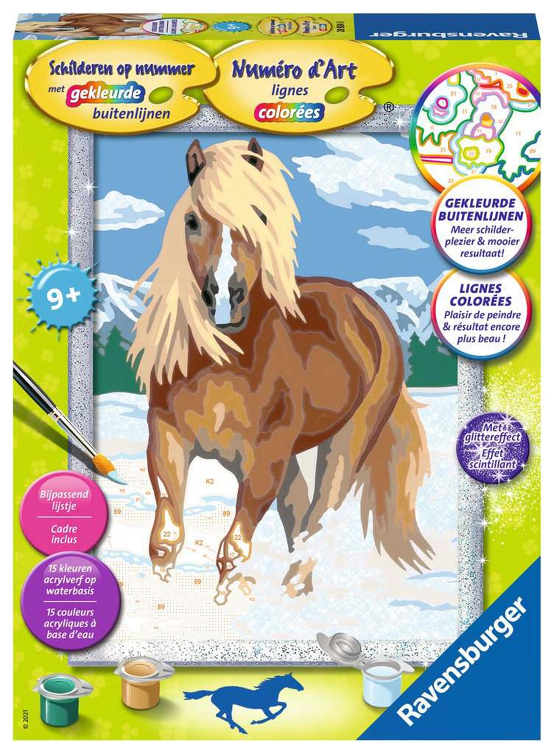 Peinture par numéro - cheval dans la neige
