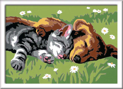 Ravensburger Creart peinture sur le nombre de chats et de chiens endormis