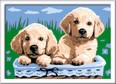 Ravensburger Creart peinture sur numéro de jolis chiots