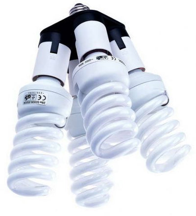 Support de lampe Falcon Eyes AD-4E27 de 1 à 4 lampes
