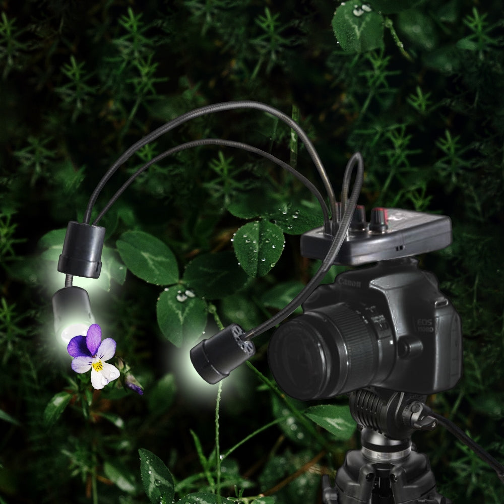 Falcon Eyes Macro LED Lampe DV-3B sur Batterie