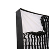 Falcon Eyes Softbox + Honeycomb RX-SB48HC pour LED RX-48TDX