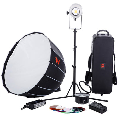 Ensemble de lampes LED bicolores Falcon Eyes à intensité variable BL-30TD-K1