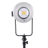 Ensemble de lampes LED bicolores Falcon Eyes à intensité variable BL-30TD-K1