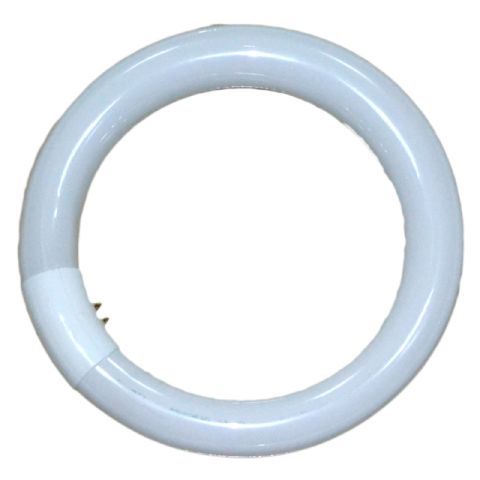 FALCON EYES LAMN LAMP 28W pour RFL-2 RFL-3