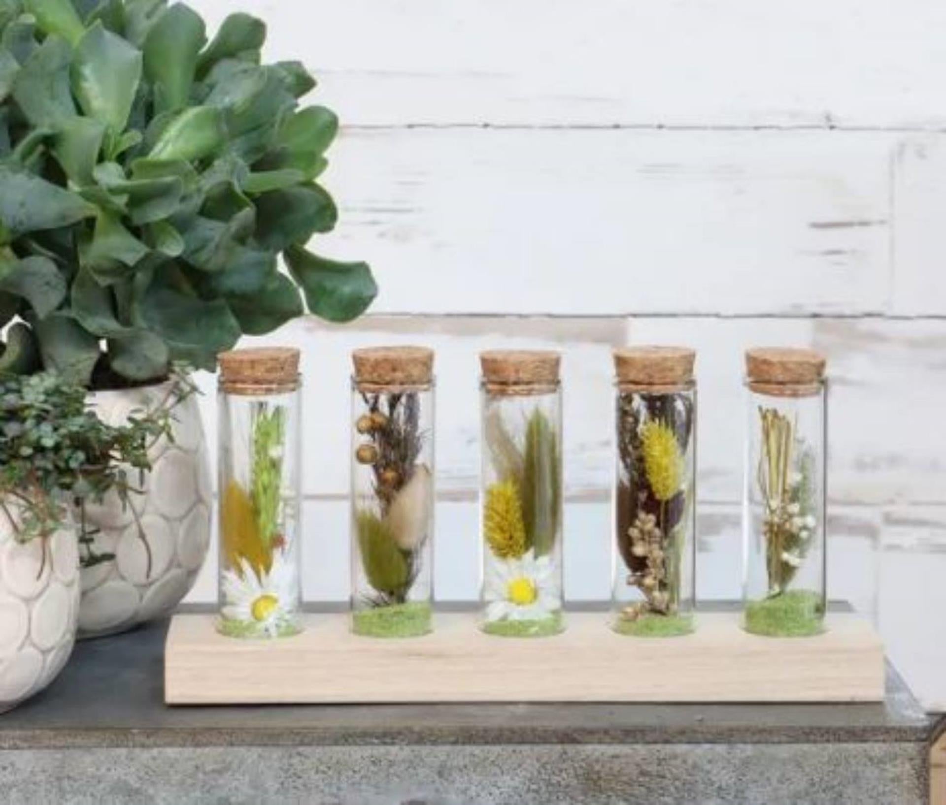 Support en bois Idées 4 saisons avec 5 tubes à essai avec bouchon en liège Ø3x10cm