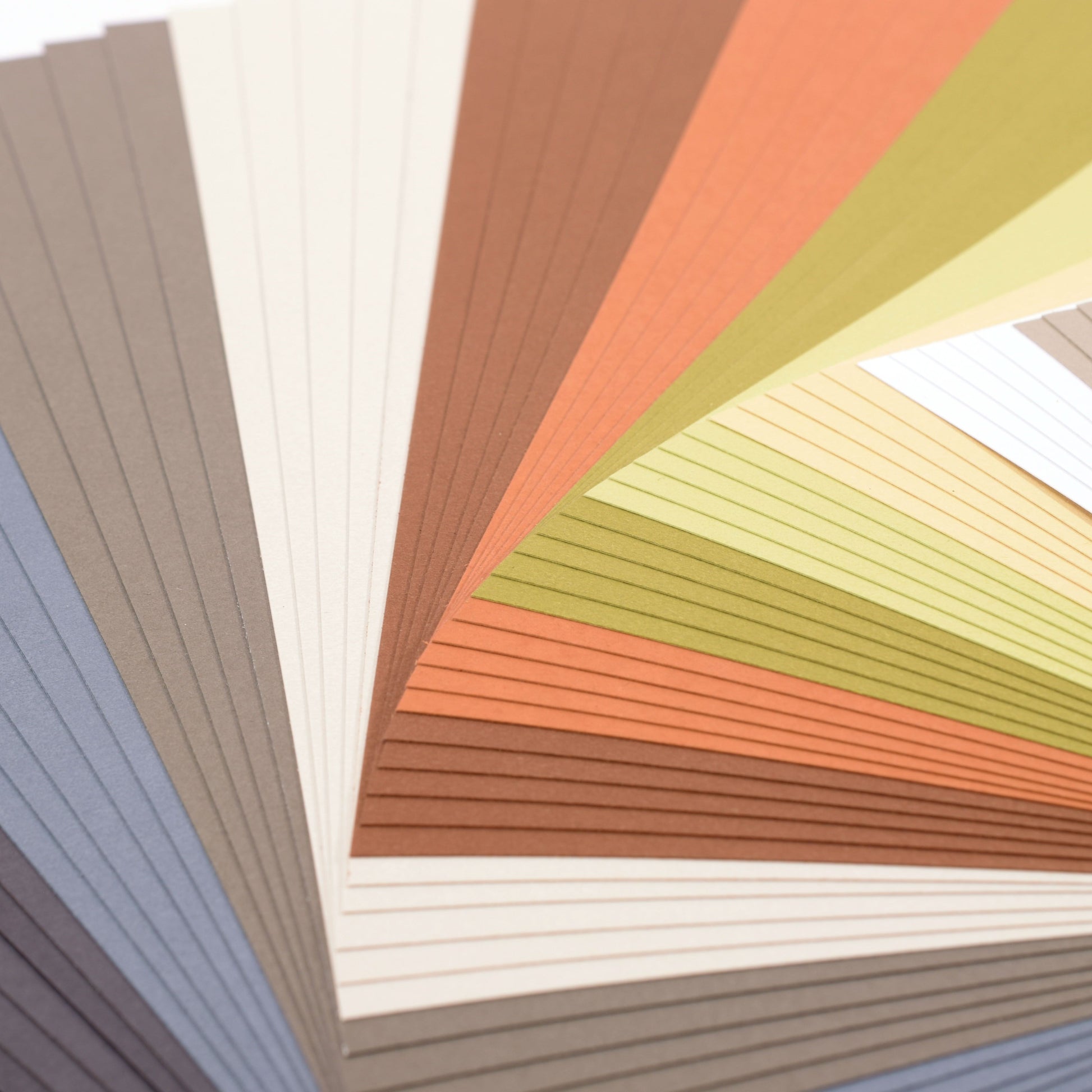 Florence • papier cartonné 216g lisse 11,4x30,5cm tons terre 60x