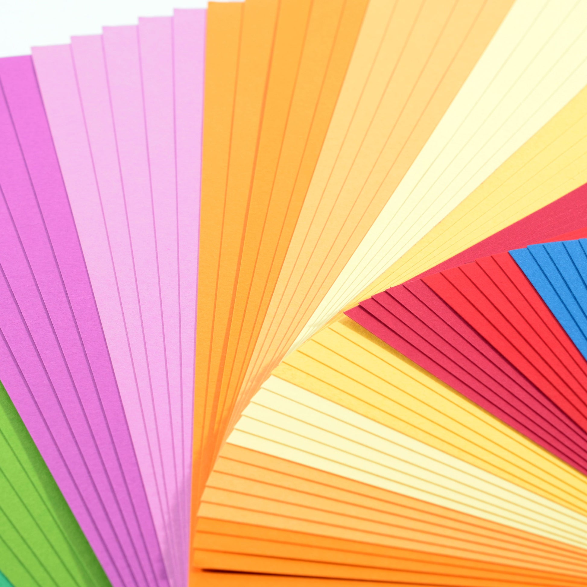 Florence • papier cartonné 216g lisse 11,4x30,5cm basic 60x